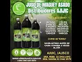 Jugo de maguey asado
