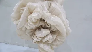 Eliurpi Mediterrania Escat Gallery 2024
