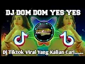 Download Lagu DJ SKIBIDI DOM DOM YES YES REMIX TIKTOK VIRAL TERBARU 2023 FULL BASS YANG KALIAN CARI