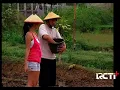 Download Lagu FTV Lama - Ngatman N Robin [Ringgo Agus Rachman \u0026 Marsha Timothy]