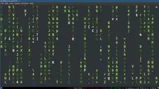 Bash Scripting 3 -