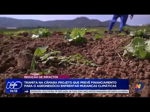 Projeto na Câmara propõe financiamento para agronegócio enfrentar mudanças climáticas