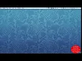 3 Adding the WYSIWYG Editor - CMS EXTRA FEATURES