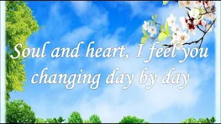 jesus touch my heart