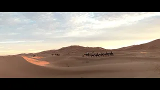 قافلة في الصحراء 