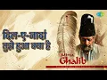 दिल-ए-नादां तुझे हुआ क्या है | Mirza Ghalib -T V Serial | Chitra Singh | Jagjit Singh Songs