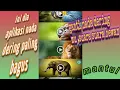 Download Lagu Tutorial pembuatan Nada Dering Suara Suara Hewan