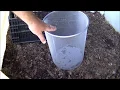 WORM CASTING vs Compost REAL TRUTH - which is better