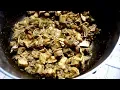 Curried Wild Meat Armadillo or Tattoo Taste of Trini