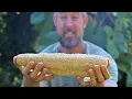 How to Grow Luffa Sponges And Easily Process Them