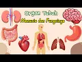 Download Lagu Mengenal Organ Tubuh Manusia dan Fungsinya | Bagian Tubuh Manusia