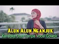 Download Lagu Alun Alun Nganjuk Karaoke Tanpa Vocal Cowok || Cipt. Ndaru.Antaraiksa || Voc. Minthul + Video