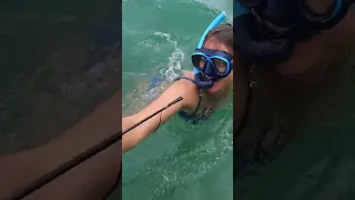 That was close… 🦈