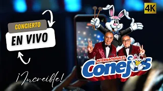Internacionales Conejos - ¡Increíble! 4K