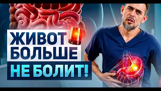 Как избавиться от проблем с ЖКТ и восстановить здоровье |  🔴LIVE