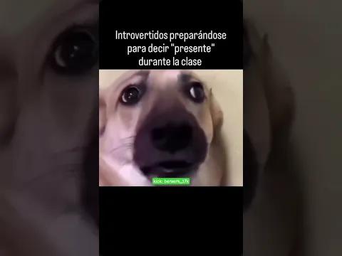 @alexxxgod