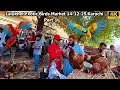 Lagu Lalukhet Exotic Birds Market 14-12-25 Part 1 Karachi  Rare and Unique Birds  Parrots Hen and Rooster