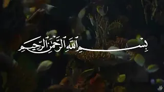 سورة يس عبدالباسط عبدالصمد SURAH YASIN Abdulbasit Abdussamad  سورة يس عبدالباسط عبدالصمد SURAH YASIN Abdulbasit Abdussamad