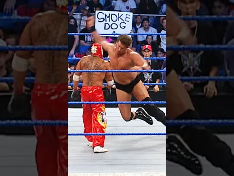 Top 10 WWE Finishers