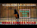 Download Lagu KICAU MURAI BATU MANIA BIKIN HOKI MILIK NEGERI