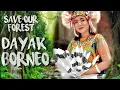 Download Lagu MUSIK DAYAK KALIMANTAN No Copyright