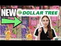 Dermatologist Shops Dollar Tree Skin Care: You Won’t Believe What Works