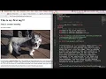 HTML Attributes part 9