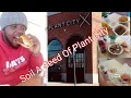 Soil A Seed Of Plant City Vlog