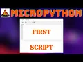 How To Run Your First Micropython Script On An ESP32