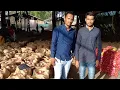 Learn Live Startup your Onions Export with 5000 INR Investment -Profit with Nikunj Keyur Sir