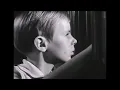 Luke Howard In Metaphor Solace Ingmar Bergman The Silence 1963
