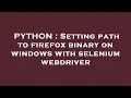 PYTHON Setting path to firefox binary on windows with selenium webdriver