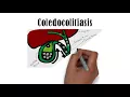Spanish Medical Interpreter-Spanish Medical Terminology-How to Pronounce Choledocholithiasis Spanish