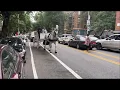 White Horse Drawn Hearse for Funeral Procession with Guarino F H Ending at Canarsie Cemetery Aug 29