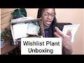 Wishlist Plants Unboxing from Etsy s Green Escape