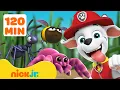 Download Lagu PAW Patrol: Reddingsacties en Avonturen met Insecten! 🐝 2 Uur | Nick Jr.
