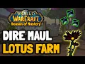 Dire Maul Black Lotus Farm in Classic WoW Season of Mastery