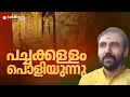 Download Lagu പോറ്റിയുടെ നുണക്കോട്ടകൾ തകരുന്നു; 1999ൽ പാളി സ്വർണം പൂശിയെന്ന് ദേവസ്വം രജിസ്റ്ററും മഹസറും