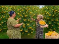 Download Lagu Fresh Yellow Cornelian Cherry Harvest | Turning Nature’s Treasure into Jam \u0026 Cake