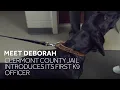 Meet Deborah Clermont County Jail introduces its first K9 officer