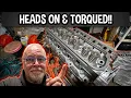 Cylinder Heads Torqued to Spec 351W Engine Build Hits New Milestone