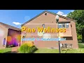 Pine Wellness