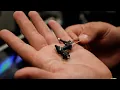 UCLA Neurology researchers develop miniature microscopes with 4 million NIH grant