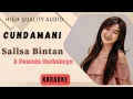 Download Lagu Sallsa Bintan feat 3 Pemuda Berbahaya - Cundamani Karaoke | Tanpa Vocal | High Quality Audio