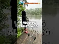 Lagu Alles weg. Vis 🐟 Lijn alles. #karper #fishing #karpervissen #carpfishing #vissen #carp #bassfishing