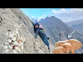 Lagu Esmat picking edible mushrooms in the Zagros Mountains 🍄🏔️