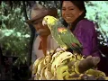 Okey, Mister Pancho (1981) | ¡La India María Se Cruza la Frontera! 🎬 Cine Mexicano