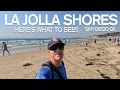 LA JOLLA SHORES LA JOLLA SAN DIEGO CALIFORNIA HERE S WHAT TO SEE