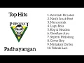 Lagu Top Hits P Project