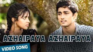 azhaipaya azhaipaya official video song kadhalil sodhapuvadhu yeppadi siddharth amala paul